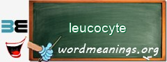 WordMeaning blackboard for leucocyte